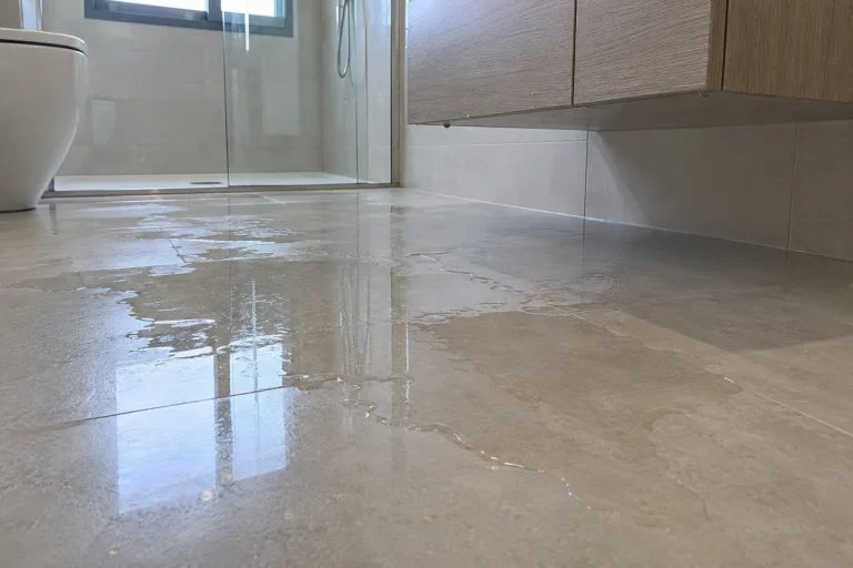 Lámina de agua encharcada sobre el suelo de un cuarto de baño, junto al plato de ducha